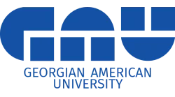 georgian american university