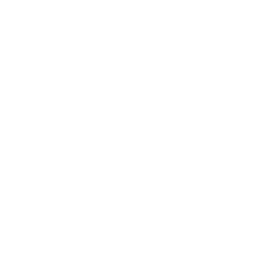 globally recognized degree