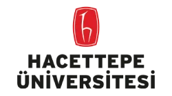 hacettepe university