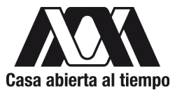 metropolitan autonomous university