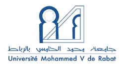 mohammed v university of rabat