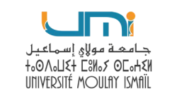 moulay ismail university