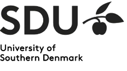 university of southern denmark